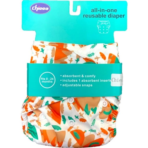 all in one reusable diaper (styles vary)1