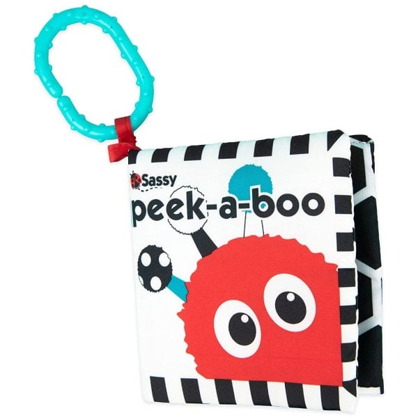 sassy peek a boo activity book with attachable link