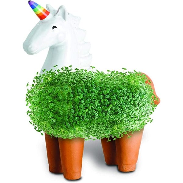 chia pet unicorn decorative pottery planter (4)